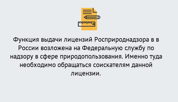 Почему нужно обратиться к нам? Реутов Лицензия Росприроднадзора. Под ключ! в Реутов