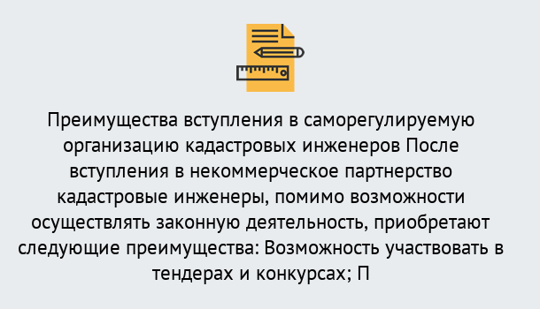 Почему нужно обратиться к нам? Реутов Что дает допуск СРО кадастровых инженеров?