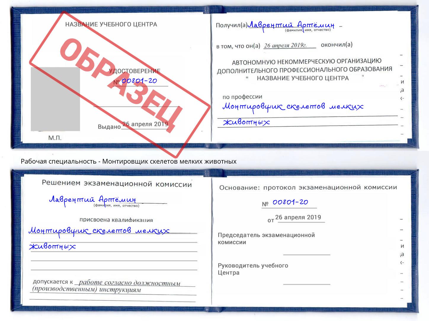 Монтировщик скелетов мелких животных Реутов