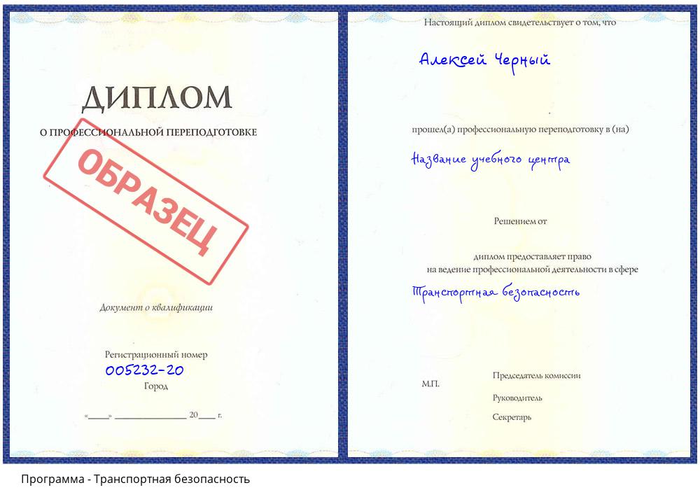 Транспортная безопасность Реутов