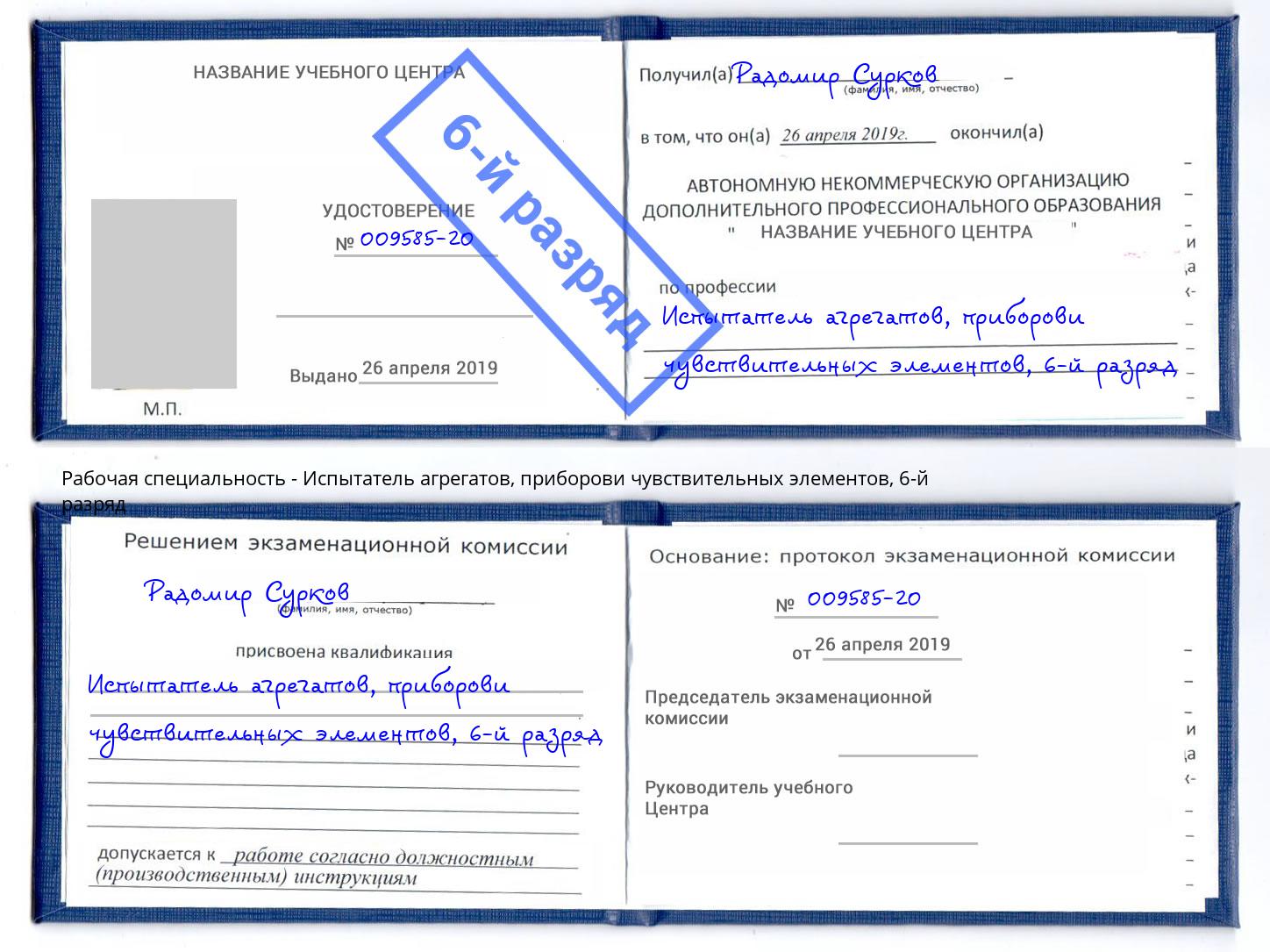 корочка 6-й разряд Испытатель агрегатов, приборови чувствительных элементов Реутов
