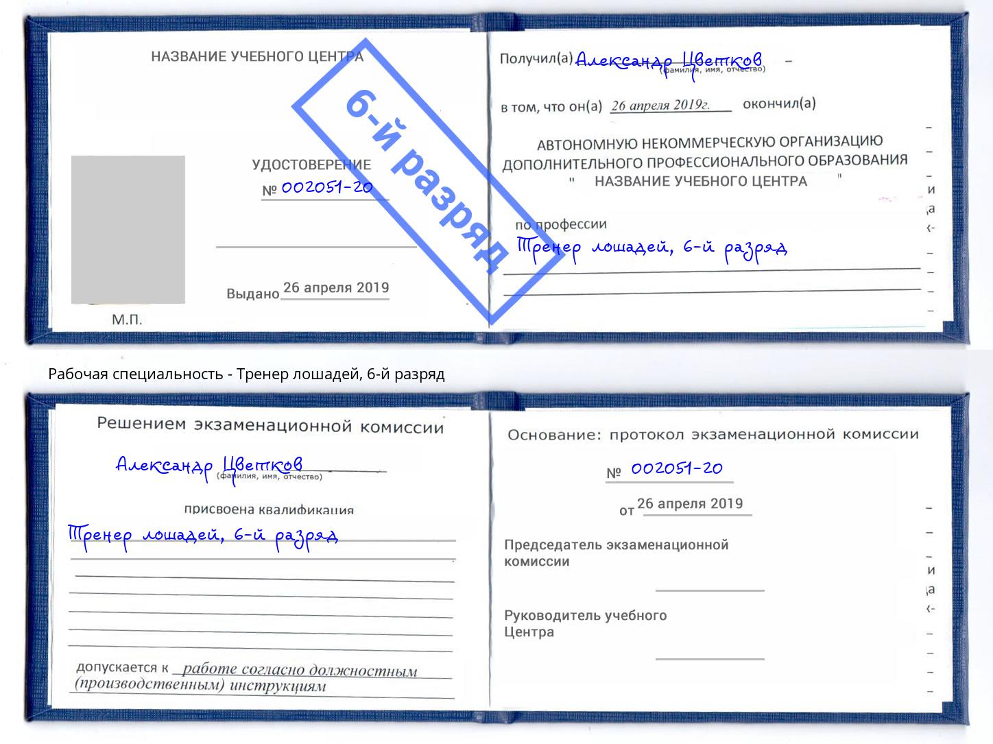корочка 6-й разряд Тренер лошадей Реутов