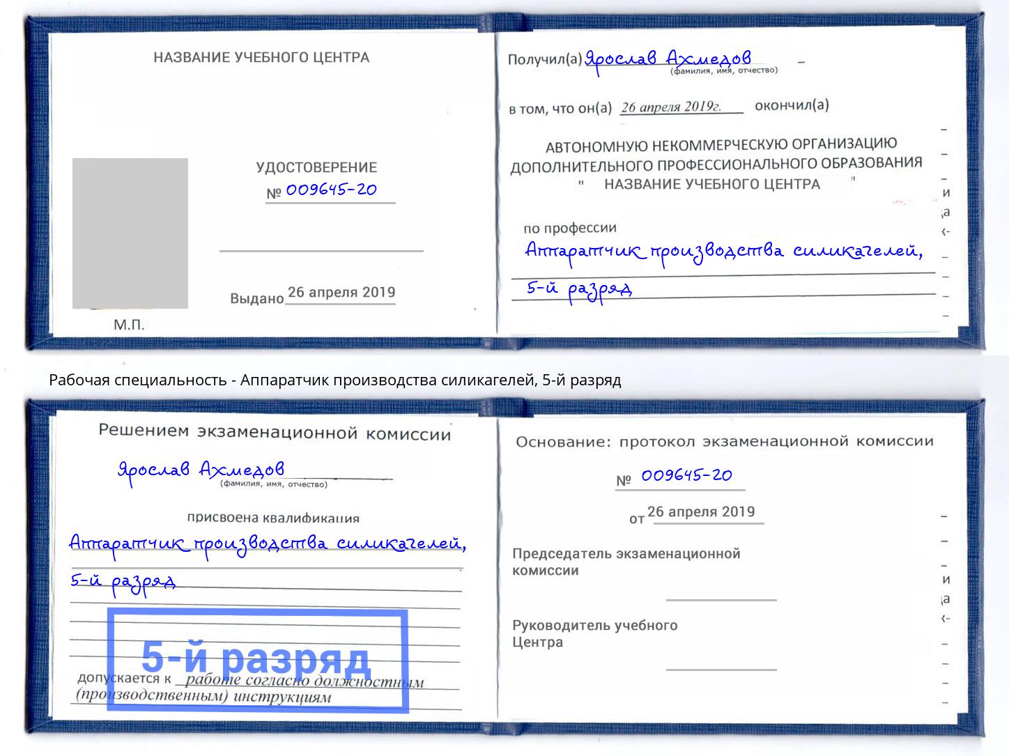 корочка 5-й разряд Аппаратчик производства силикагелей Реутов