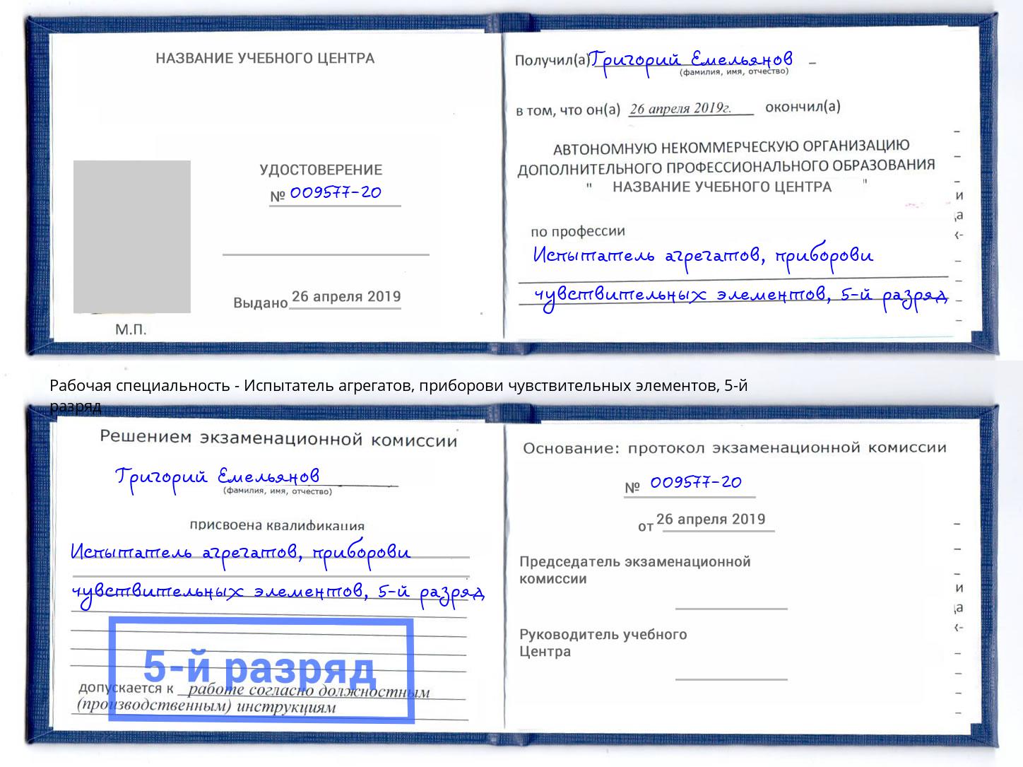 корочка 5-й разряд Испытатель агрегатов, приборови чувствительных элементов Реутов