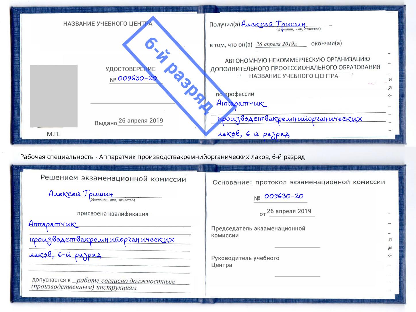 корочка 6-й разряд Аппаратчик производствакремнийорганических лаков Реутов