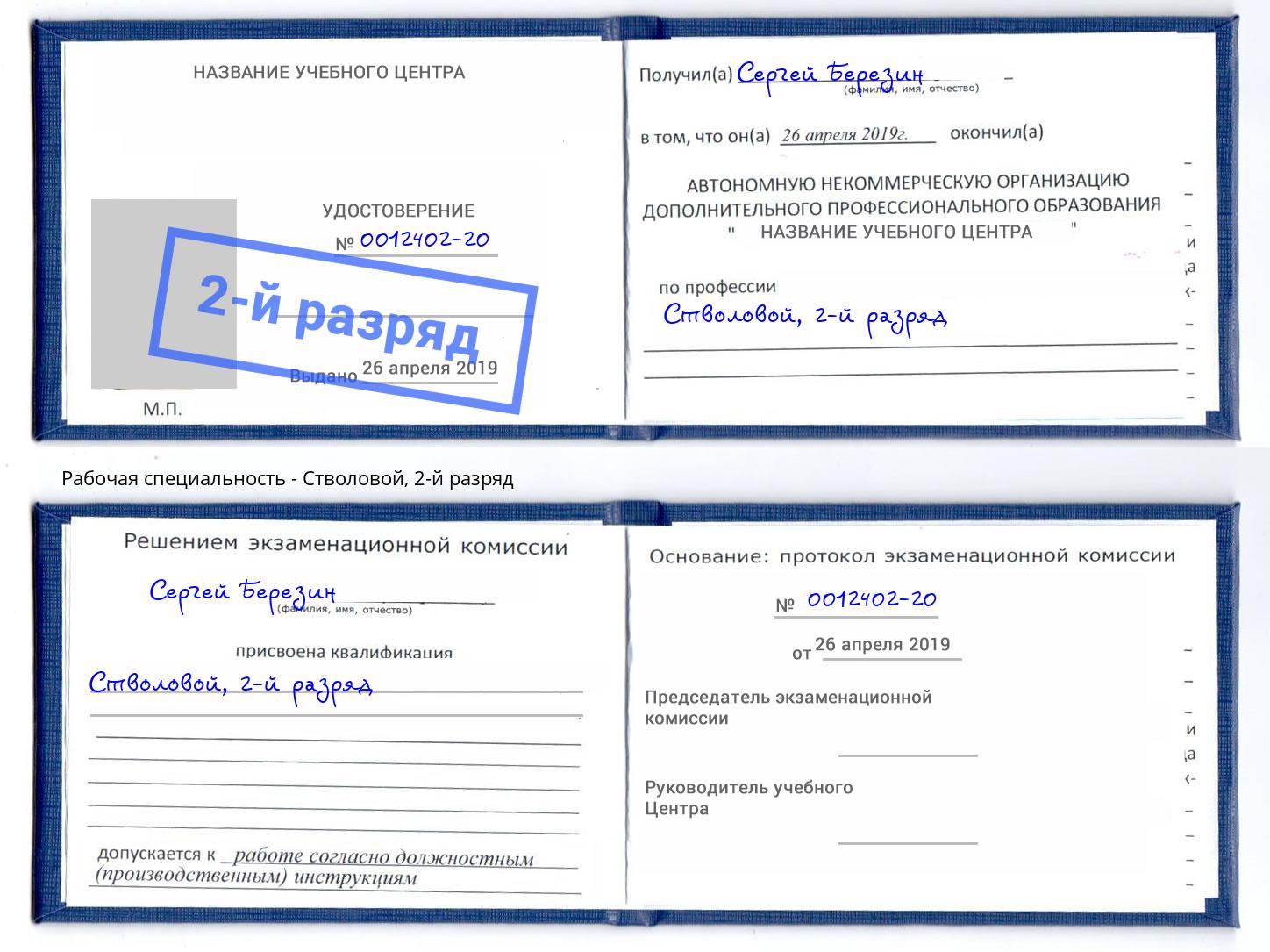 корочка 2-й разряд Стволовой Реутов