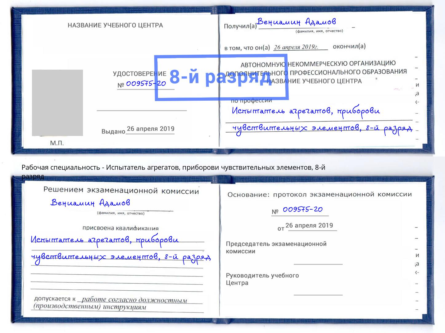 корочка 8-й разряд Испытатель агрегатов, приборови чувствительных элементов Реутов